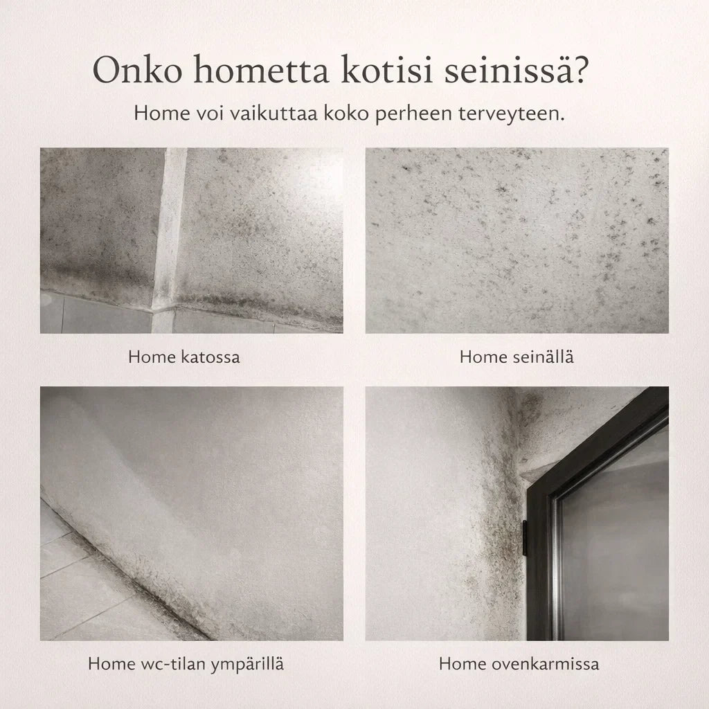 – poistaa homeen ilman hankausta