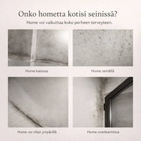 – poistaa homeen ilman hankausta