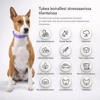 PunkkiSuoja – Luotettava suoja punkkeja vastaan